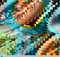 Black Bird - Gold Coast Attractions