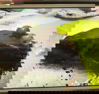 Baker Bear's Bakery - Gold Coast Attractions