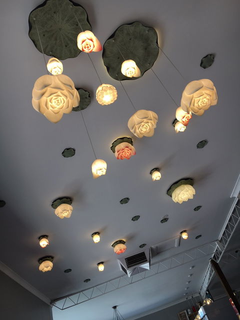 Coffee Journey - Gold Coast Attractions 1
