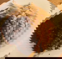 Mount Pleasant Hotel Motel - Gold Coast Attractions