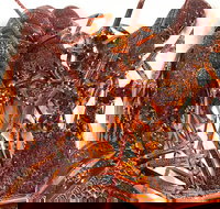 Sails Restaurant - Gold Coast Attractions