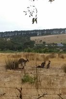 The Range Restaurant - Gold Coast Attractions 9