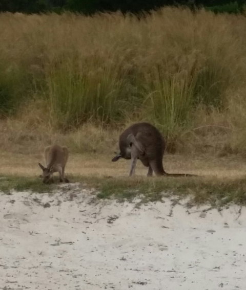 The Range Restaurant - Gold Coast Attractions 3