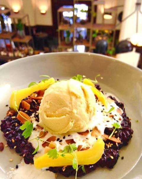Apple Daily Bar & Eating House - Gold Coast Attractions 4