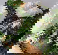 Jolt Bakery Cafe - Gold Coast Attractions