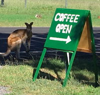 Chillagoe Gallery 29 - Gold Coast Attractions