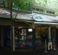 Lite Bites - Gold Coast Attractions