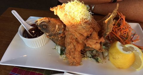 Ped's Kafe - Gold Coast Attractions 0