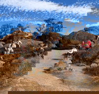 The Big Wave Rock Private Day Tour - Gold Coast Attractions