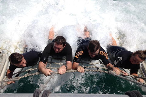 Cruise In Moreton Bay Marine Park And Moreton Island - Gold Coast Attractions 0