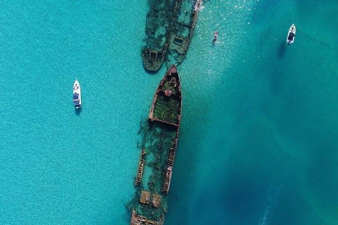 Cruise In Moreton Bay Marine Park And Moreton Island - Gold Coast Attractions 1