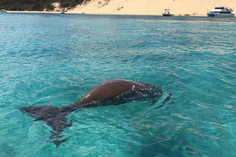 Cruise In Moreton Bay Marine Park And Moreton Island - Gold Coast Attractions 2
