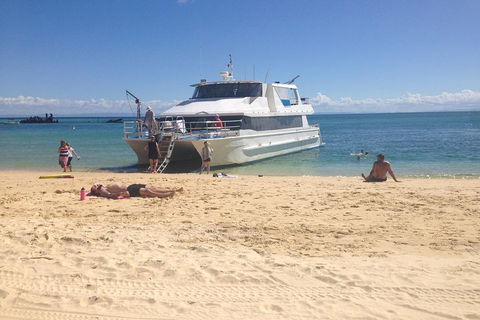 Cruise In Moreton Bay Marine Park And Moreton Island - Gold Coast Attractions 4