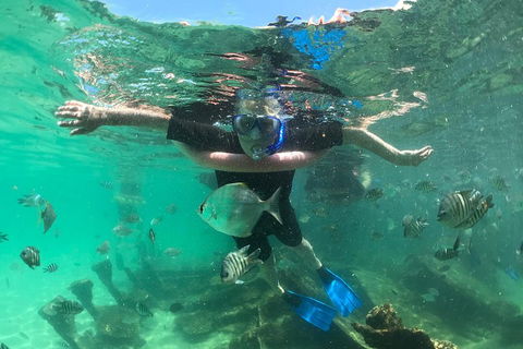 Cruise In Moreton Bay Marine Park And Moreton Island - Gold Coast Attractions 5