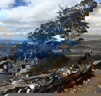 kunanyi / Mt Wellington Explorer Bus - 2 Hour Return Tour