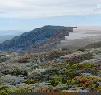 kunanyi/Mt Wellington Explorer Bus - One Way Tour