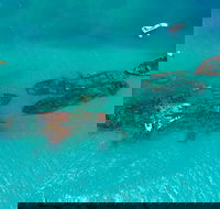 Private Tangalooma Wrecks Tour - Gold Coast Attractions