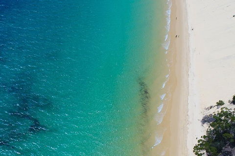 Private Tangalooma Wrecks Tour - Gold Coast Attractions 1