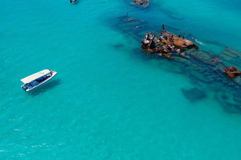 Private Tangalooma Wrecks Tour - Gold Coast Attractions 4