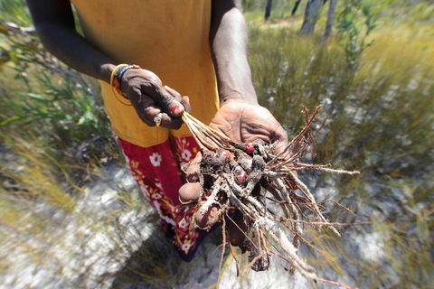 Gay-Wu Woman's 5 Day Yolngu Homeland Tour - Gold Coast Attractions 0