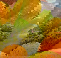 Private Half Day Tour Exclusive World Heritage Rainforest and Waterfall Tour from Cairns