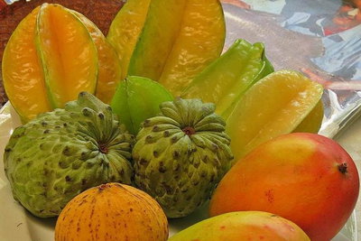 Private Half Day Tour Exclusive World Heritage Rainforest and Waterfall Tour from Cairns