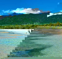 5-Day Best of Cairns with Daintree Kuranda and Great Barrier Reef - Gold Coast Attractions