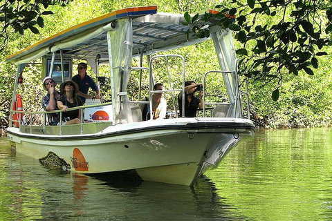 5-Day Best Of Cairns With Daintree, Kuranda, And Great Barrier Reef - Gold Coast Attractions 1