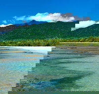 8-Day Cairns Tour Great Barrier Reef Kuranda Daintree Rainforest - Gold Coast Attractions