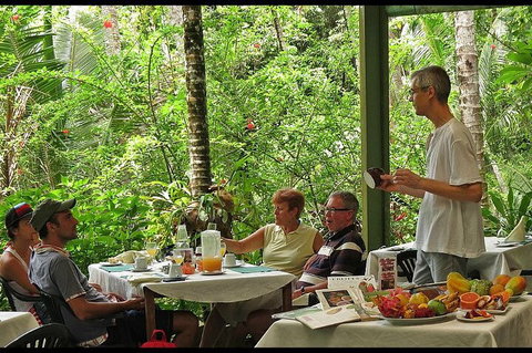 8-Day Cairns Tour: Great Barrier Reef, Kuranda, Daintree Rainforest - Gold Coast Attractions 4