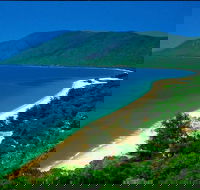 Cairns Reef and Rainforest Combo Daintree Rainforest and the Great Barrier Reef - Gold Coast Attractions