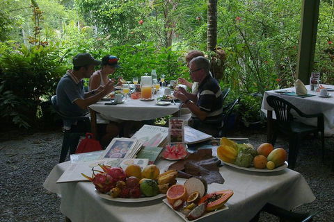 Cairns Reef And Rainforest Combo: Daintree Rainforest And The Great Barrier Reef - Gold Coast Attractions 3