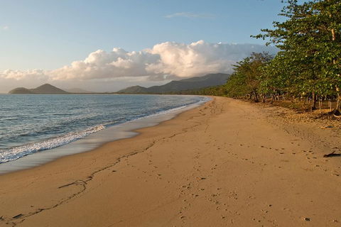 Cairns Reef And Rainforest Combo: Daintree Rainforest And The Great Barrier Reef - Gold Coast Attractions 4
