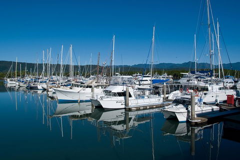 Cairns Reef And Rainforest Combo: Daintree Rainforest And The Great Barrier Reef - Gold Coast Attractions 5