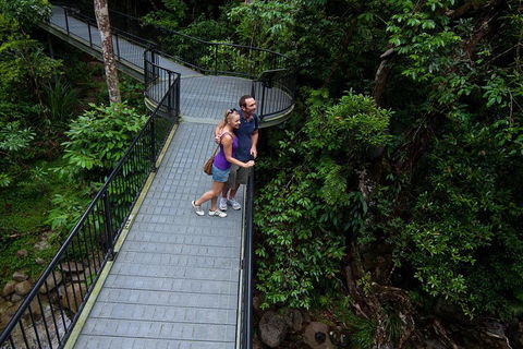 Cape Tribulation, Mossman Gorge, And Daintree Rainforest Premium Day Tour - Gold Coast Attractions 3
