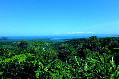 Cape Tribulation, Mossman Gorge, And Daintree Rainforest Premium Day Tour - Gold Coast Attractions 5