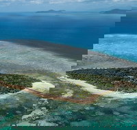 4-Day Cairns with Great Barrier Reef and Daintree Rainforest - Gold Coast Attractions