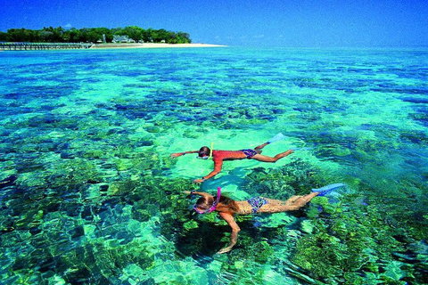 4-Day Cairns With Great Barrier Reef And Daintree Rainforest - Gold Coast Attractions 2