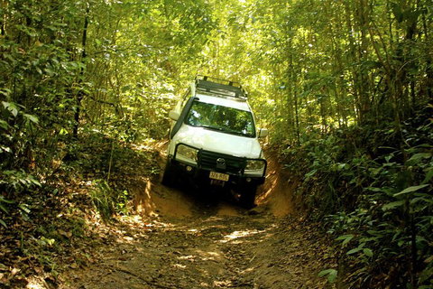 Cairns National Park Rainforest And Waterfall Small Group Tour Shore Excursion - Gold Coast Attractions 0