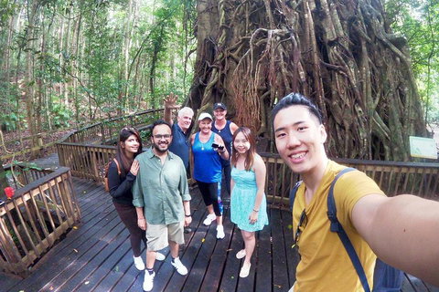 Cairns National Park Rainforest And Waterfall Small Group Tour Shore Excursion - Gold Coast Attractions 2
