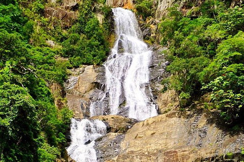 Cairns National Park Rainforest And Waterfall Small Group Tour Shore Excursion - Gold Coast Attractions 4