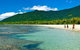 Private Daintree National Park Day Tour From Cairns Including Cape Tribulation And Mossman Gorge - thumb 0
