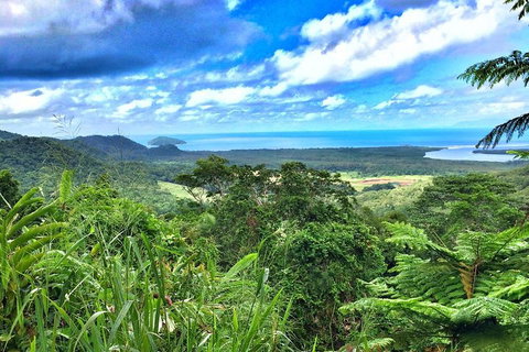 Private Daintree National Park Day Tour From Cairns Including Cape Tribulation And Mossman Gorge - Gold Coast Attractions 2