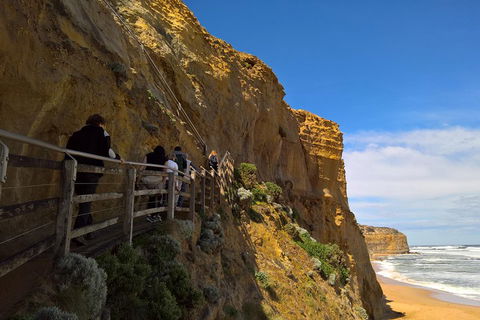 Private Express Experience - 12 Apostles - Gold Coast Attractions 3