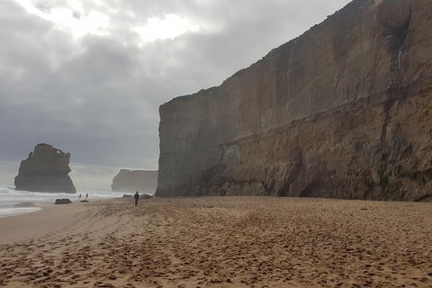 Private Express Experience - 12 Apostles - Gold Coast Attractions 4