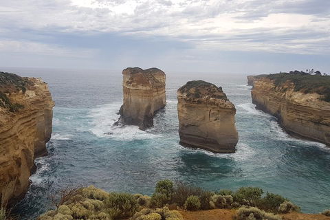 Private Express Experience - 12 Apostles - Gold Coast Attractions 5