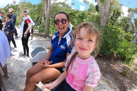 Whitehaven Beach Day Tour With Snorkel In Whitsundays Island - Gold Coast Attractions 1