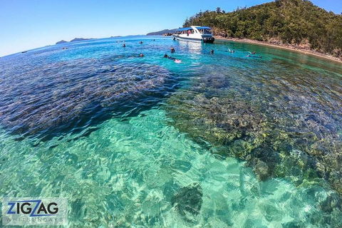 Whitehaven Beach Day Tour With Snorkel In Whitsundays Island - Gold Coast Attractions 5
