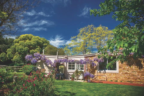 McLaren Vale Winery Small Group Tour With Wine Tasting And Lunch - Gold Coast Attractions 2