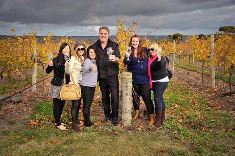 McLaren Vale Winery Small Group Tour With Wine Tasting And Lunch - Gold Coast Attractions 3